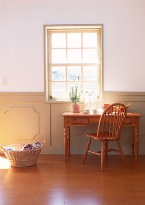 安心価格で用途に適した観葉植物をリース