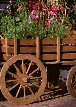 様々な価格で学習机が販売されています。