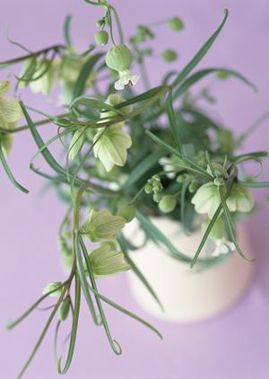 木材の魅力と加工技術を徹底解説！デザイン性にこだわる建築家必見の情報