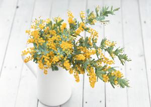 電波時計なら通販がおすすめです